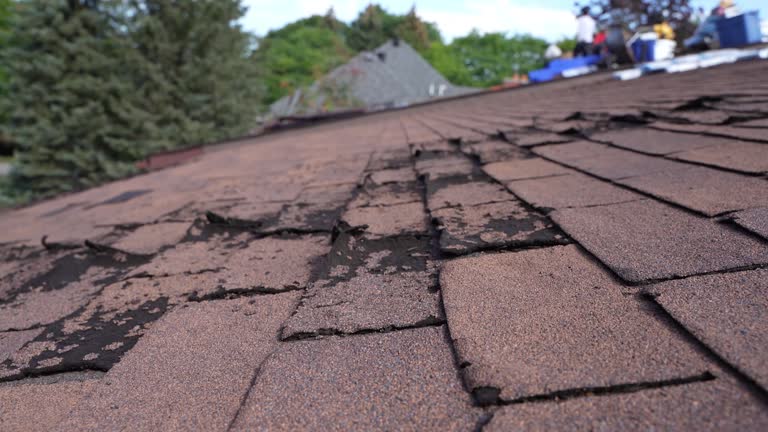 Fast & Reliable Emergency Roof Repairs in Fort Stockton, TX